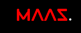 website logo